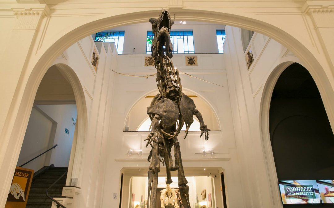 Dinossauros voltam a ser atração do Museu de Zoologia