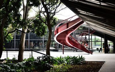 Visita Mediada e Produção de Livro Vivo